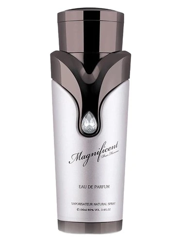 Magnificent Pour Homme perfume bottle, front label visible